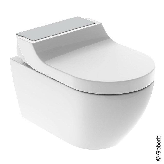 GEBERIT AQUACLEAN TUMA COMFORT závěsné WC s bidetovým sedátkem, SoftOpening, Rimless, KeraTect, bílá/kartáčovaná nerez